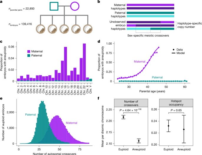 Common variation in meiosis genes shapes human recombination and aneuploidy