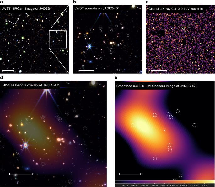 An X-ray-emitting protocluster at z ≈ 5.7 reveals rapid structure growth