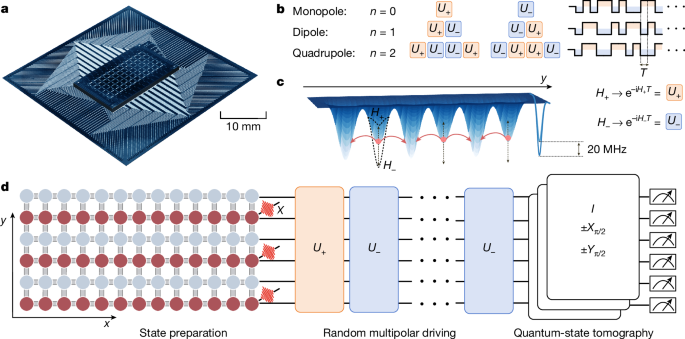 Prethermalization by random multipolar driving on a 78-qubit processor