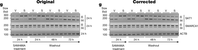 Publisher Correction: Polyamine-dependent metabolic shielding regulates alternative splicing