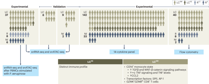 Immunologically distinct long COVID after mild acute disease