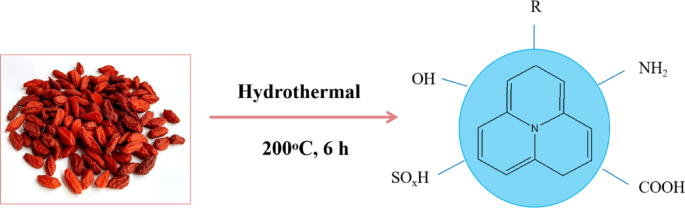 Biomass derived nitrogen and sulfur codoped carbon dots as efficient corrosion inhibitors for carbon steel in acidic environment