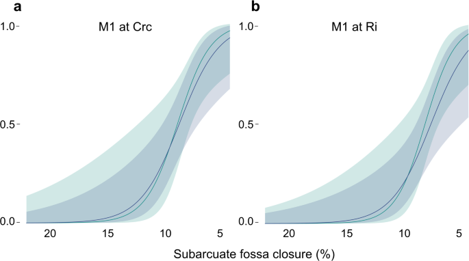 Complex and diverse patterns of neurocranial development in Australopithecus, Paranthropus and Homo