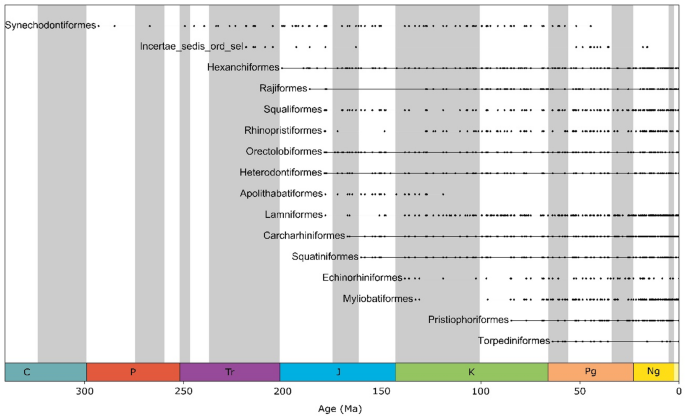 Global environmental drivers shape Cenozoic neoselachian diversity and identify modern conservation priorities