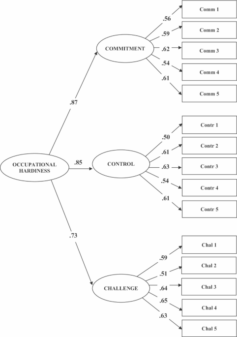 A contribution to the Italian validation of the occupational hardiness scale and its role in work engagement and emotional exhaustion