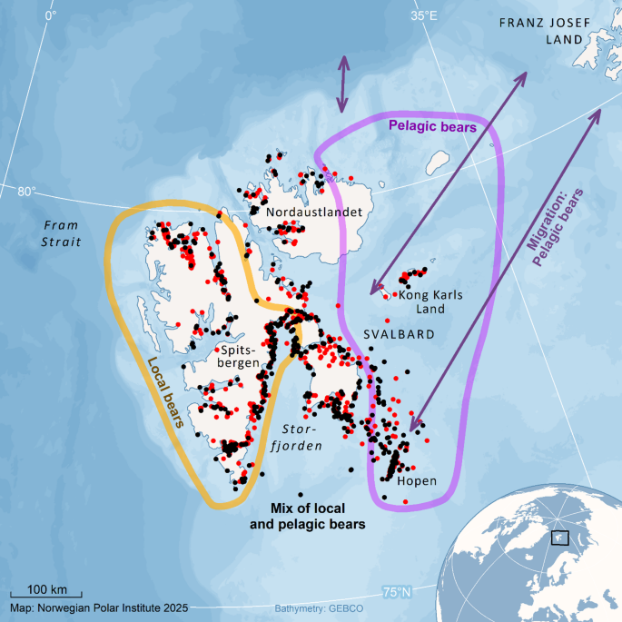 Body condition among Svalbard Polar bears Ursus maritimus during a period of rapid loss of sea ice
