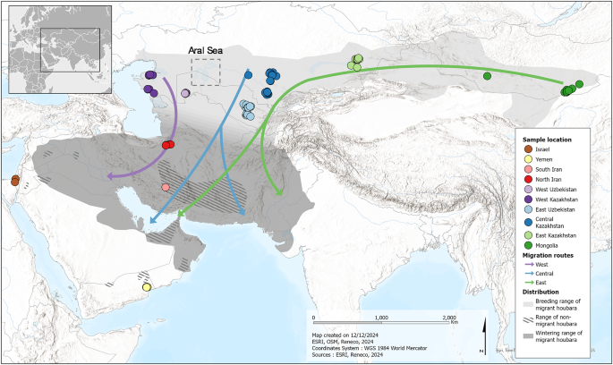 Genome wide data recover hierarchical genetic structure and help define conservation units for the threatened Asian Houbara