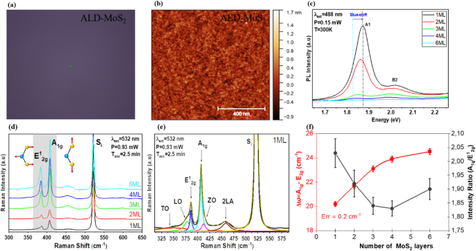 Layer-dependent Raman polarization anisotropy in MoS₂ films grown by 200 mm-scale atomic layer deposition