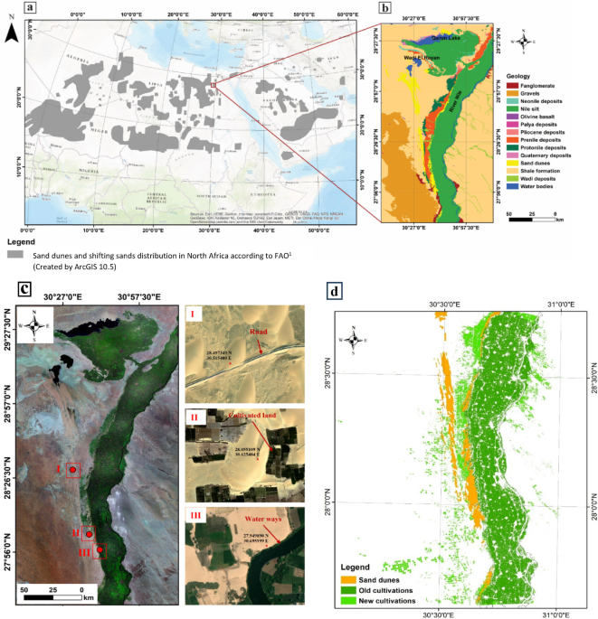 Growing dune encroachment threatens the habitability of the western Nile riverbank