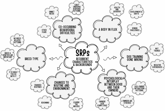 Professional perspectives on recurrent characteristics of dogs with separation-related problems: a qualitative study in three nordic countries