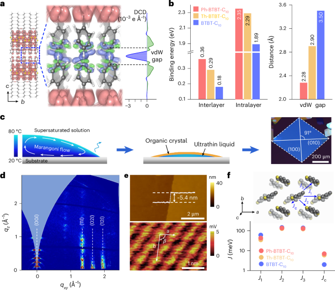 Metallic charge transport in conjugated molecular bilayers