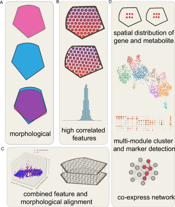 haCCA: multi-module Integration of spot-based spatial transcriptomes and metabolomes