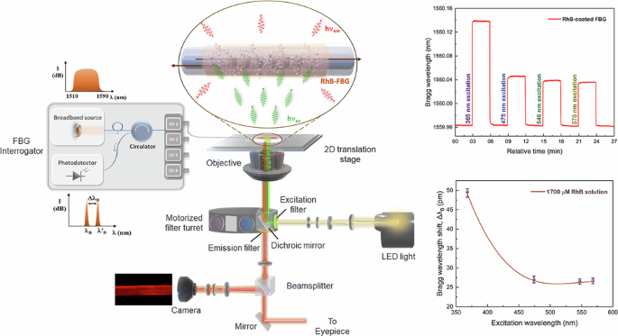 Probing non-radiative quantum relaxation in fluorophores using an optical fiber Bragg grating photothermal sensor