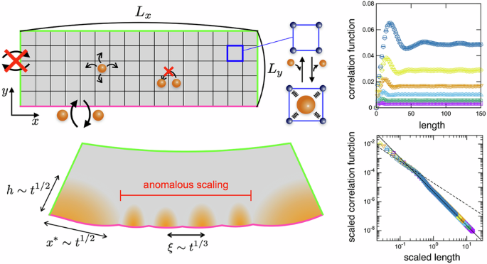 Elastic heterogeneity governs anomalous dynamic scaling in a soft porous crystal