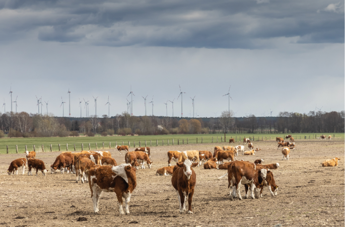 Bearing the costs of a climate-safe food transition