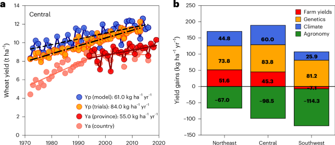 High-yielding wheat in northwest Europe constrained by agronomic management