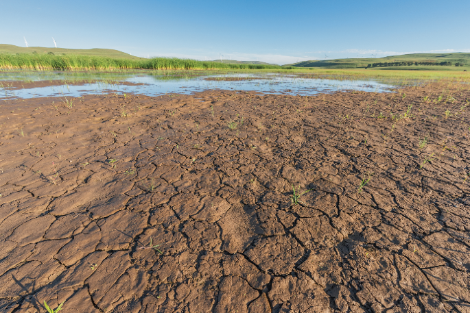 Desertification reversal strategies in China