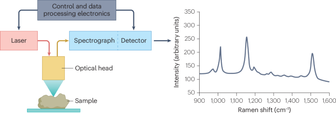 Using Raman spectrometers developed for space exploration in other extreme environments