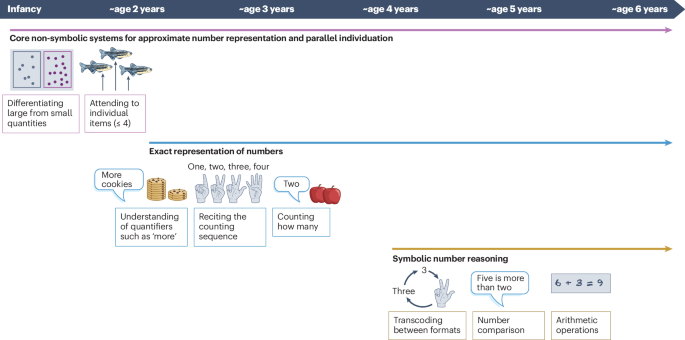 Influences of spoken and signed language on numerical cognition