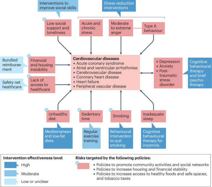 Advancing implementation of behavioural medicine in cardiovascular care