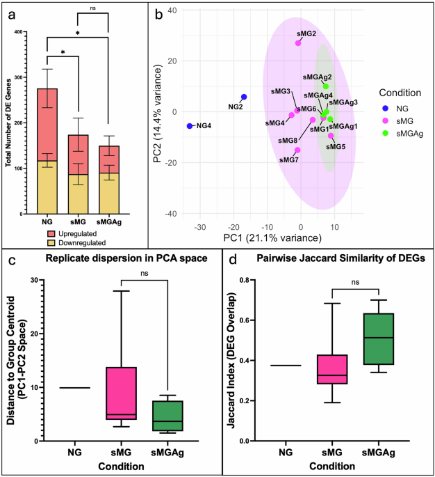 Adaptive transcriptional remodeling of Streptococcus mutans under simulated microgravity and silver stress reveals evolutionary innovation in artificial environments