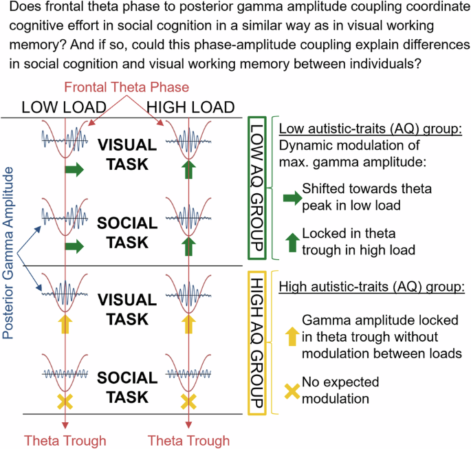 Theta-gamma phase amplitude coupling serves as a marker of social cognition and visual working memory deficits in individuals with elevated autistic traits
