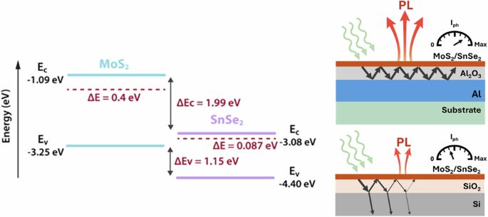 Synergistic cavity-enhanced photoresponse in transition metal dichalcogenide heterostructures