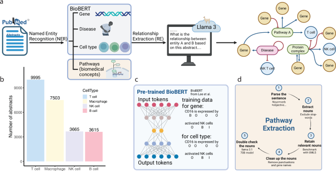 AI-powered Immune Cell Knowledge Graph (ICKG) with granular immune contexts enables immune program interpretation