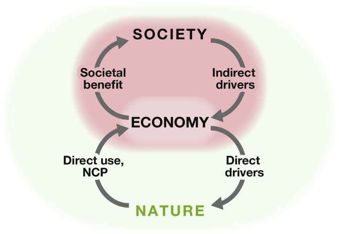 A systems reset for sustainable development