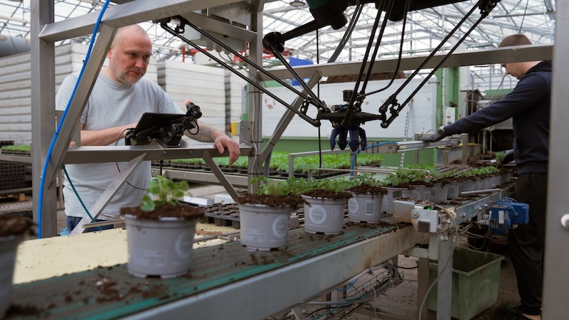 4XRobots expands into US market with focus on greenhouse automation