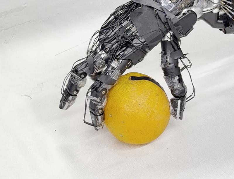 Visual-tactile pretraining and online multitask learning for humanlike manipulation dexterity | Science Robotics