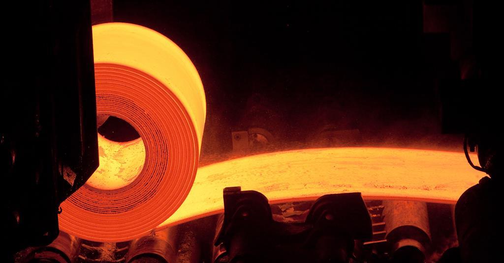 Carbon border taxes may do more harm than good | Business