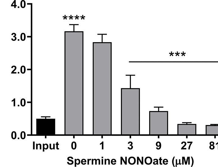 Inhaled nitric oxide at 300 ppm treats multidrug-resistant Pseudomonas pneumonia in swine and is safe in humans | Science Translational Medicine