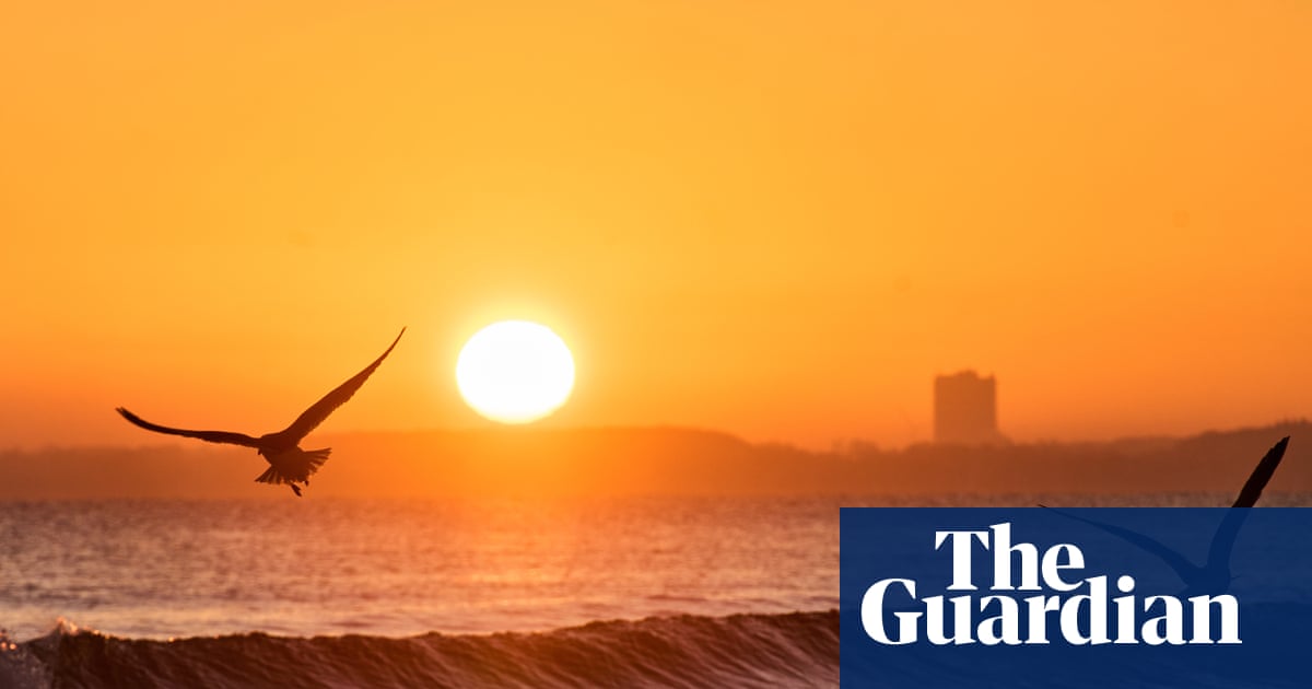 ‘Profound impacts’: record ocean heat is intensifying climate disasters, data shows | Oceans