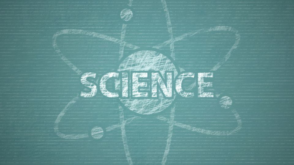 Scalable and multiplexed recorders of gene regulation dynamics across weeks