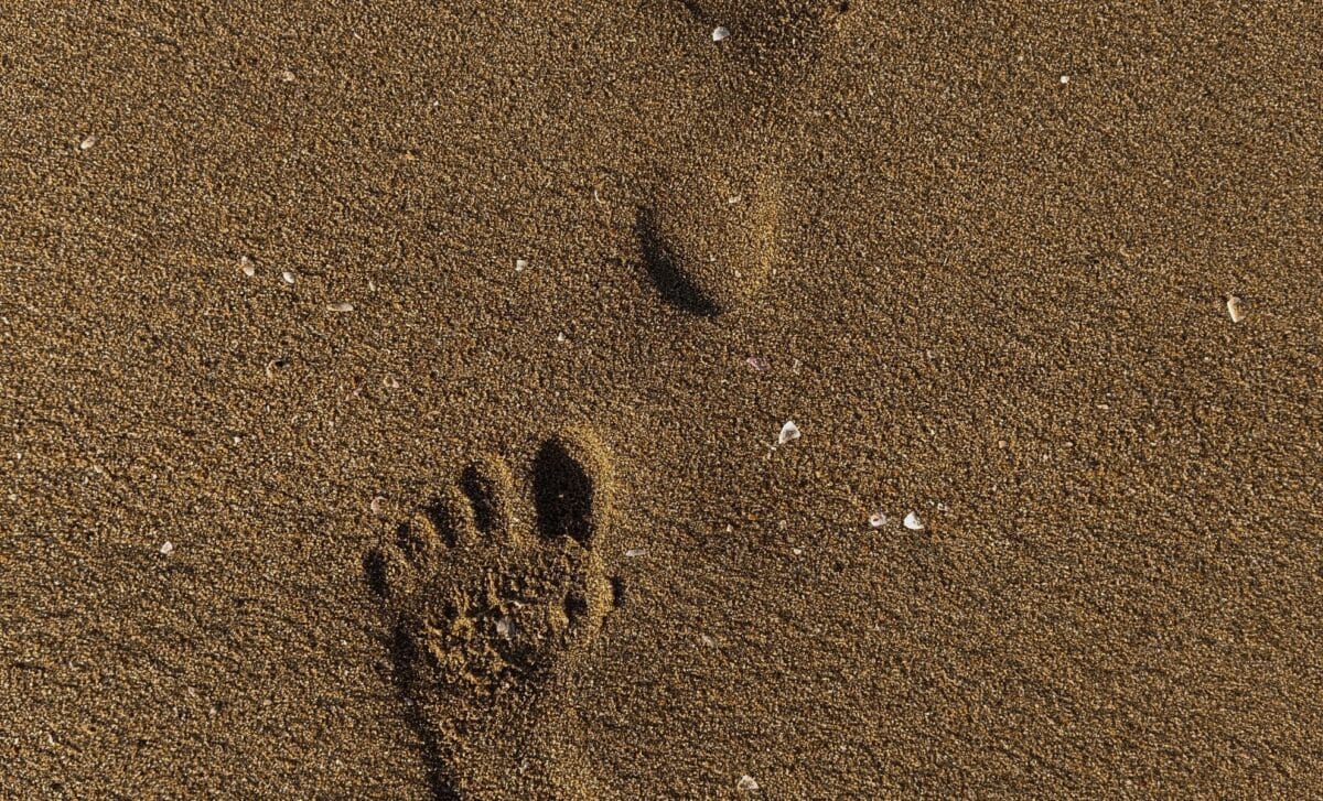 85 Remarkably Preserved Human Footprints Have Emerged on a Moroccan Beach