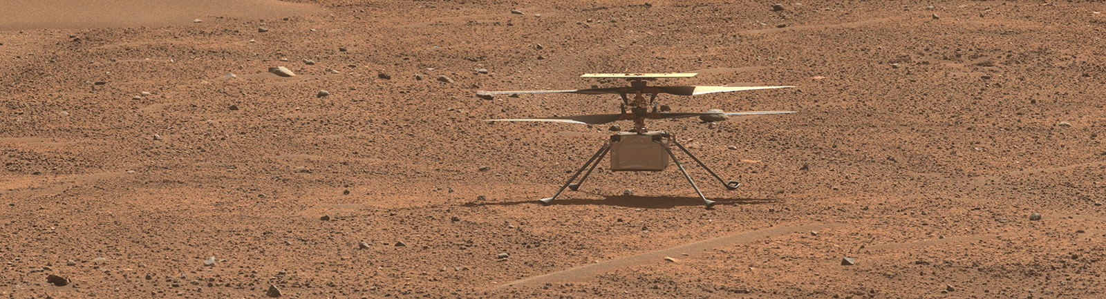 Mars: News & Features – NASA Science