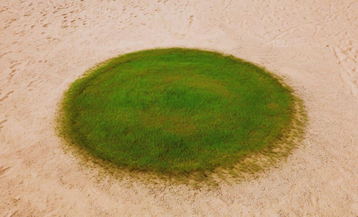 A Perfect Green Circle in the Sand? Astronauts Spot Ancient Lake Hidden in the Saudi Desert