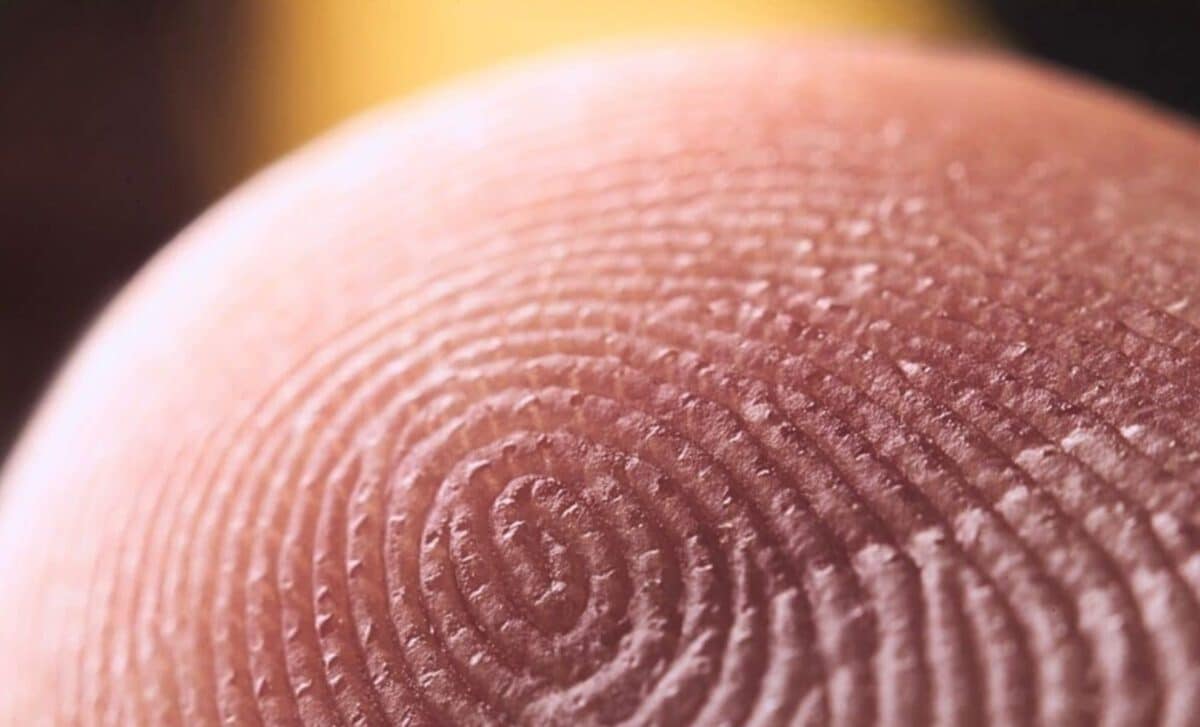 Artificial Intelligence Reveals Fingerprints Aren’t Truly Unique, Debunking 100 Years of Forensic Science