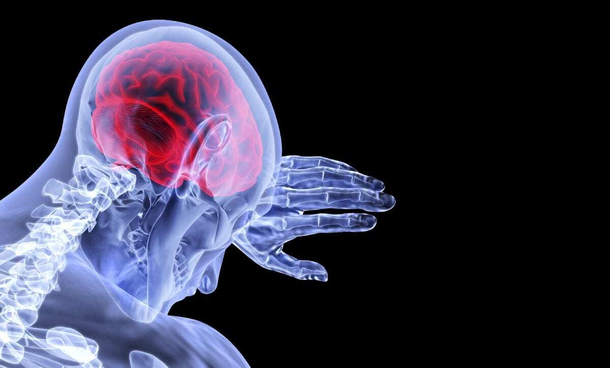 Seismic imaging technology could deliver finely detailed images of the human brain