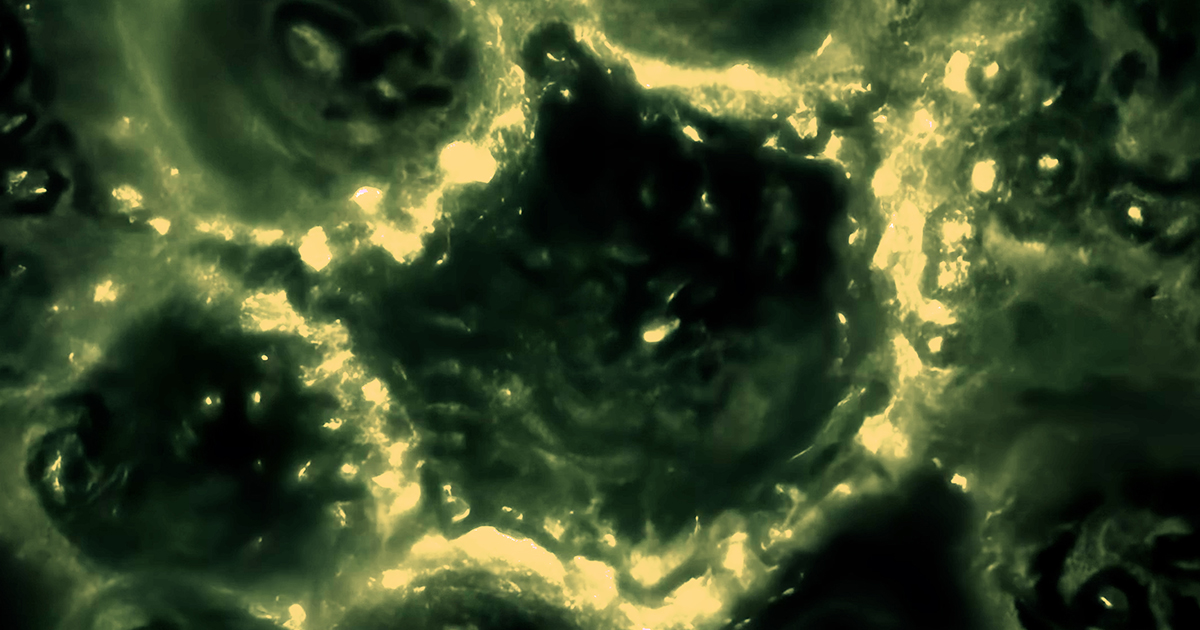 Cells Use ‘Bioelectricity’ To Coordinate and Make Group Decisions