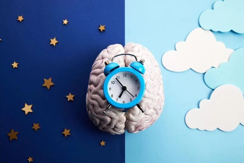 A Disrupted Body Clock Is Linked to Higher Dementia Risk