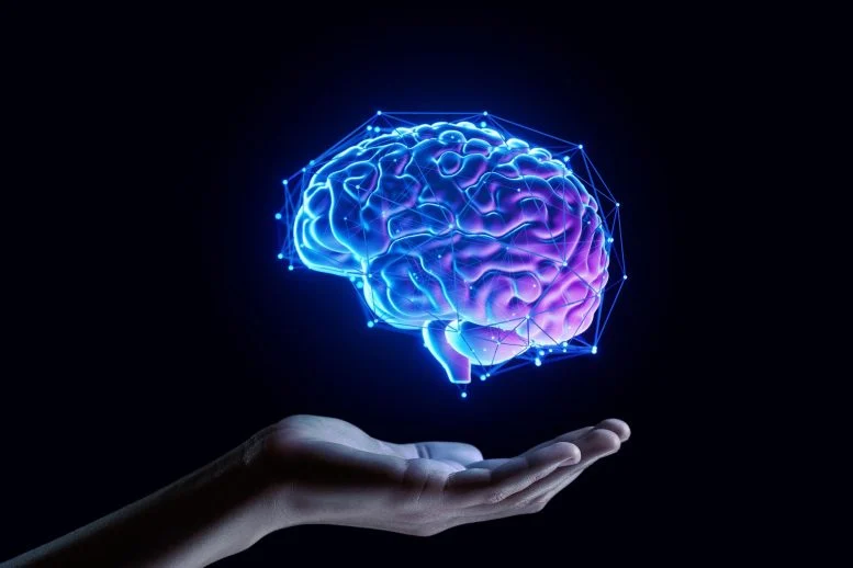 Smaller Than a Grain of Salt: Engineers Create the World’s Tiniest Wireless Brain Implant