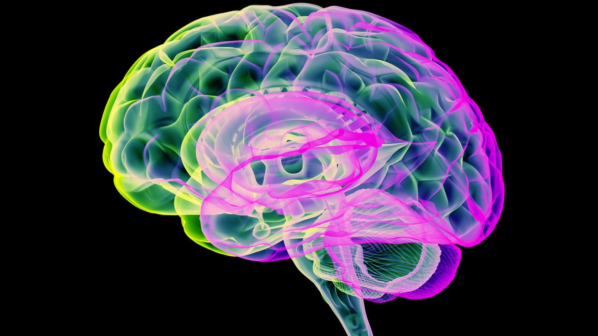 Carbon Dioxide ‘Pulses’ Clears Toxins From Parkinson’s Brains in Recent Study : ScienceAlert