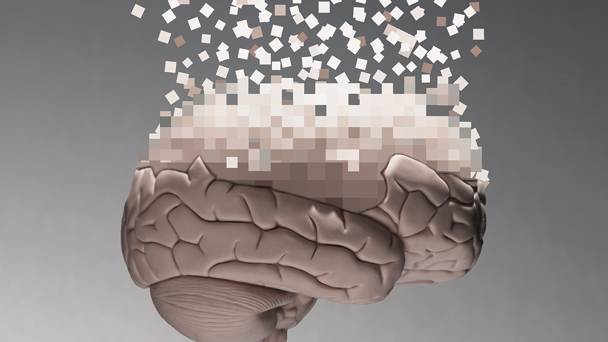 10,000 Brain Scans Reveal Why Your Memory Gets Worse With Age : ScienceAlert