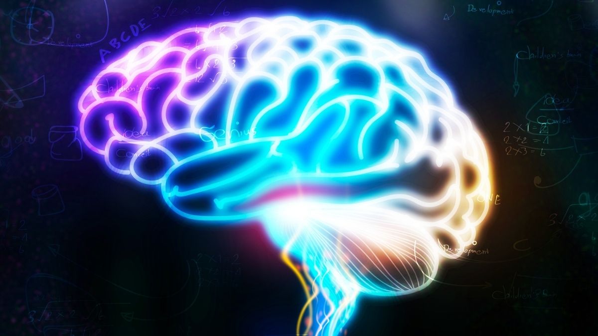 A Hidden Brain Signal Can Predict Alzheimer’s Years Before Diagnosis : ScienceAlert