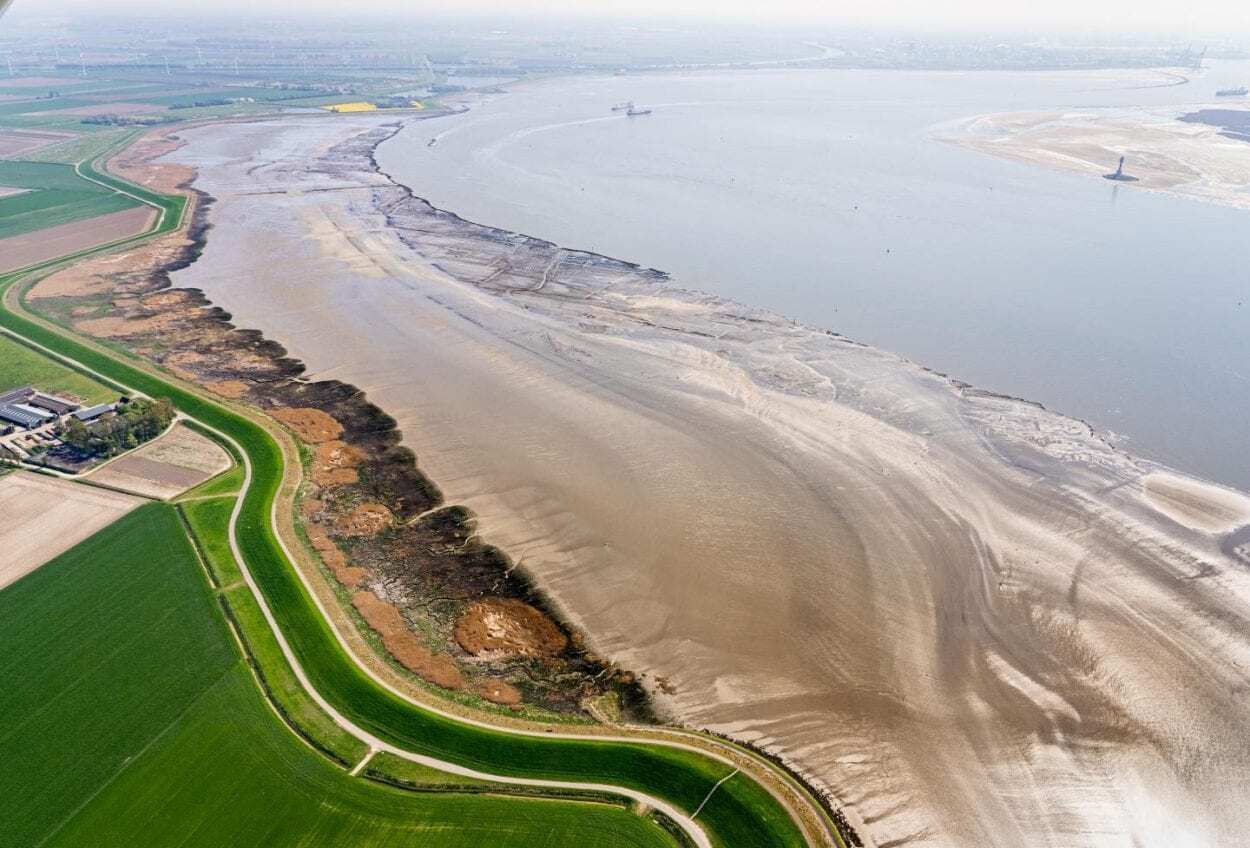 Historic Floods Reveal how Salt Marshes Can Save Lives in the Future