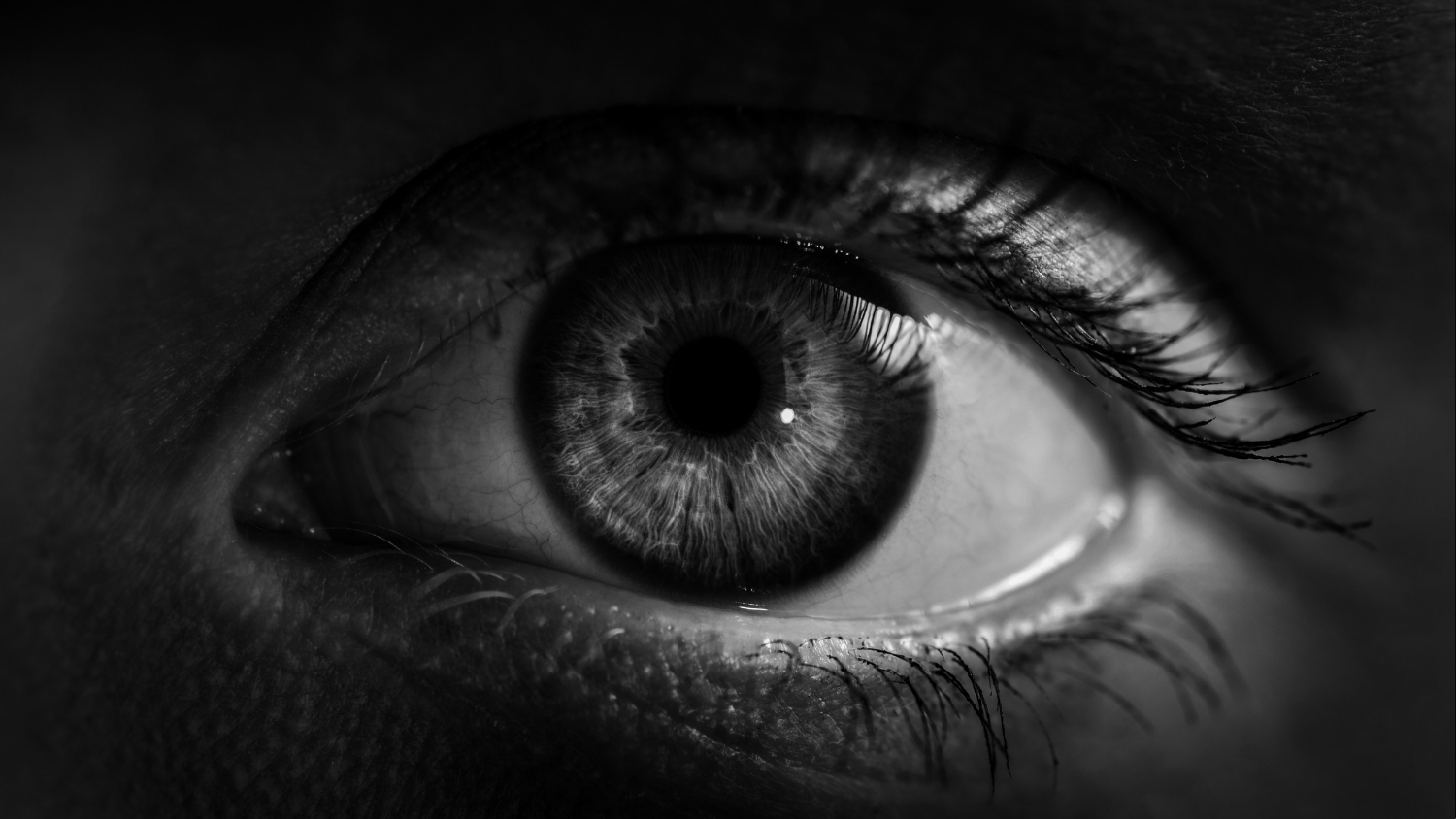 Major Study Links Being a Night Owl to Higher Heart Attack And Stroke Risk : ScienceAlert