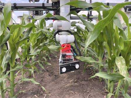 Smart Sensing: CMU Researchers Develop Robotic Platform to Boost Corn Crop Health