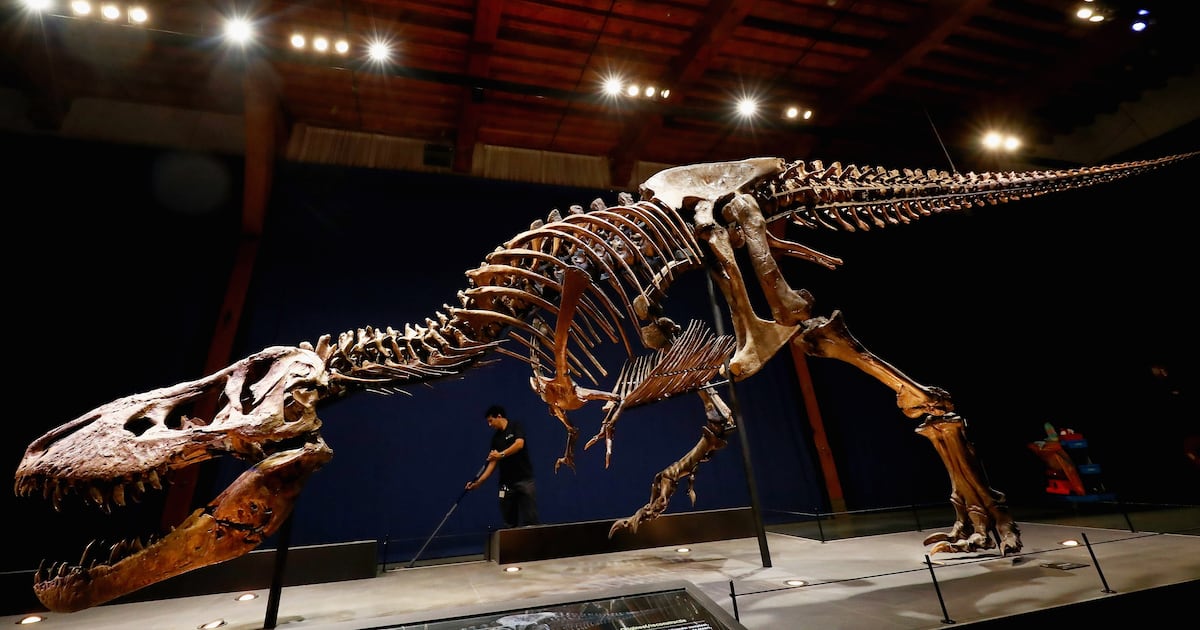 Scientists Uncover Secrets to Tyrannosaurus Rex’s Lifespan
